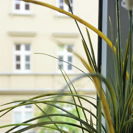 Hostel Explorer Old Town & #don't Be A Tourist, Be An Explorer! Poznan
